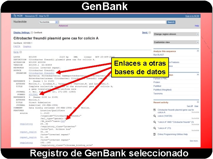 Gen. Bank Enlaces a otras bases de datos Registro de Gen. Bank seleccionado 