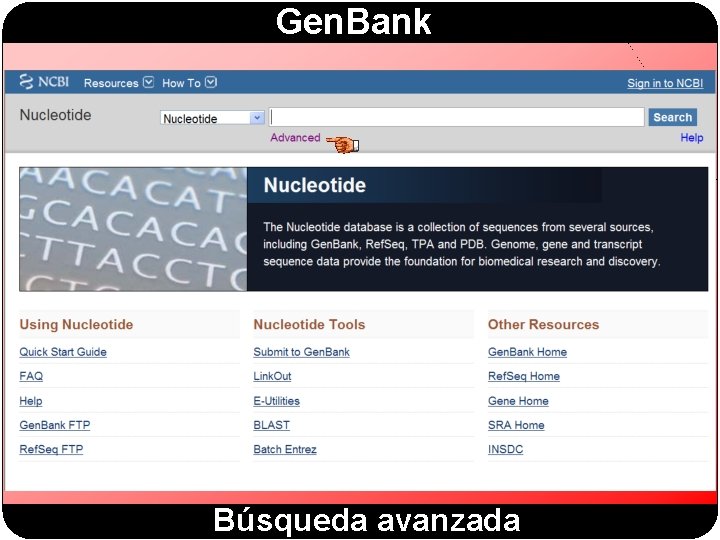 Gen. Bank Búsqueda avanzada 