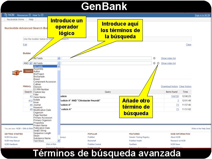 Gen. Bank Introduce un operador lógico Introduce aquí los términos de la búsqueda Añade