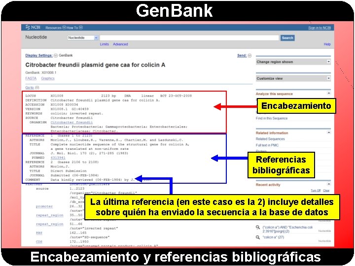 Gen. Bank Encabezamiento Referencias bibliográficas La última referencia (en este caso es la 2)