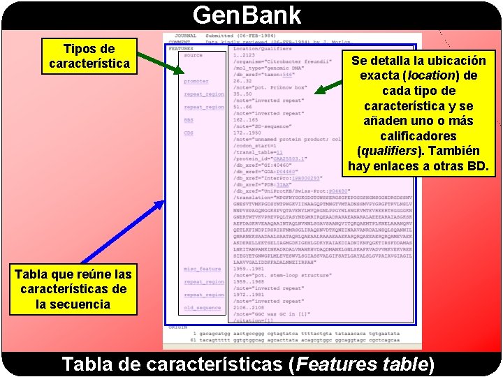 Gen. Bank Tipos de característica Se detalla la ubicación exacta (location) de cada tipo