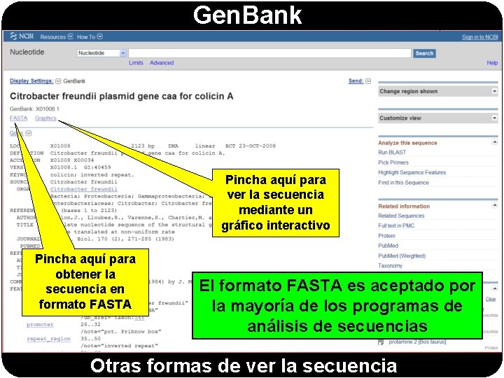 Gen. Bank Pincha aquí para ver la secuencia mediante un gráfico interactivo Pincha aquí