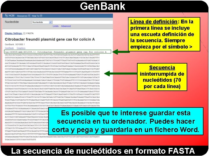 Gen. Bank Línea de definición: En la primera línea se incluye una escueta definición