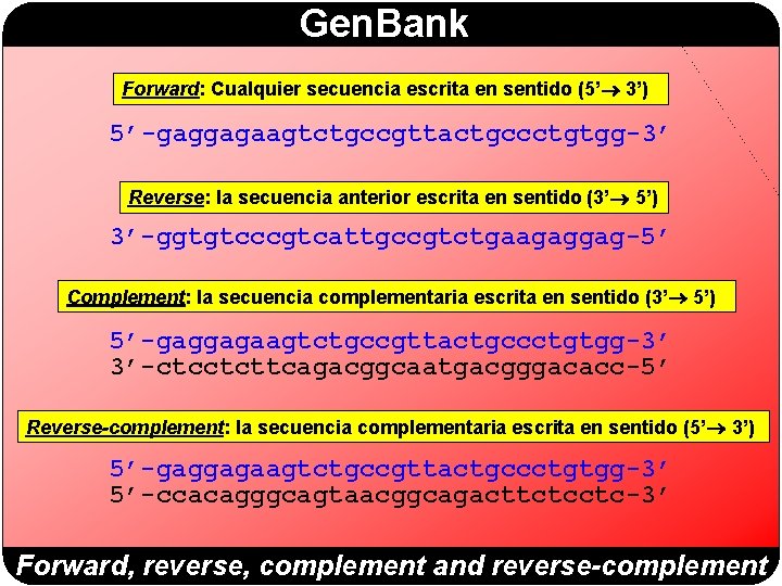 Gen. Bank Forward: Cualquier secuencia escrita en sentido (5’ 3’) 5’-gaggagaagtctgccgttactgccctgtgg-3’ Reverse: la secuencia