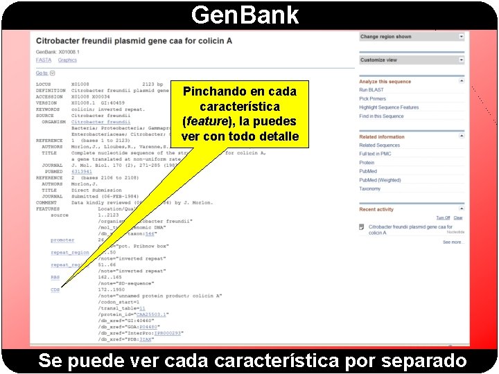 Gen. Bank Pinchando en cada característica (feature), la puedes ver con todo detalle Se