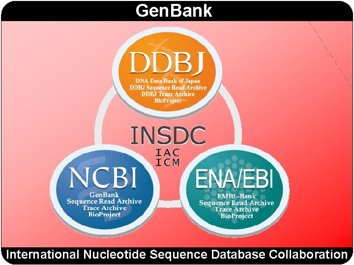 Gen. Bank International Nucleotide Sequence Database Collaboration 