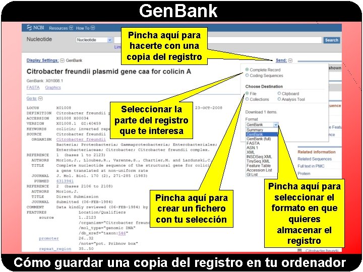 Gen. Bank Pincha aquí para hacerte con una copia del registro Seleccionar la parte