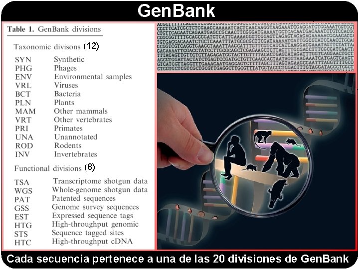 Gen. Bank (12) (8) Cada secuencia pertenece a una de las 20 divisiones de