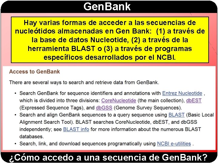 Gen. Bank Hay varias formas de acceder a las secuencias de nucleótidos almacenadas en