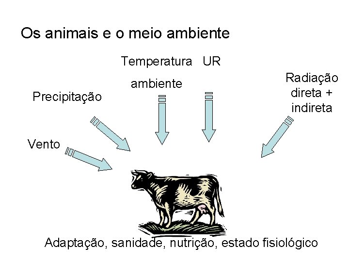 Os animais e o meio ambiente Temperatura UR Precipitação ambiente Radiação direta + indireta