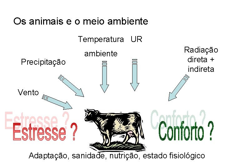 Os animais e o meio ambiente Temperatura UR Precipitação ambiente Radiação direta + indireta