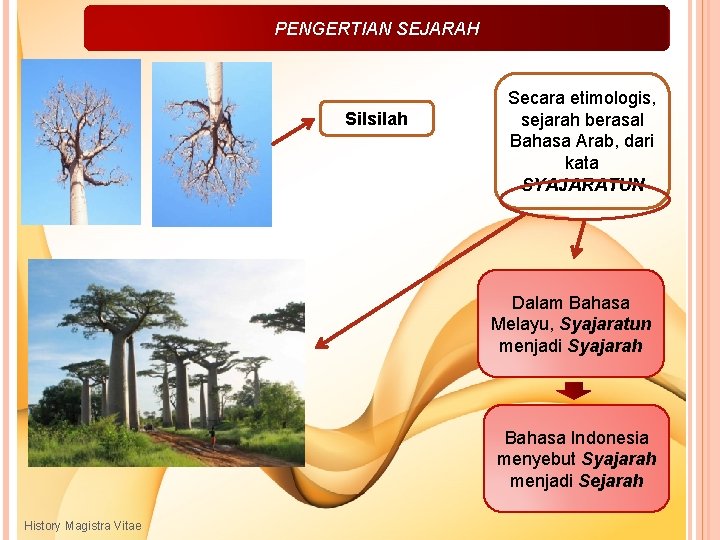 PENGERTIAN SEJARAH Silsilah Secara etimologis, sejarah berasal Bahasa Arab, dari kata SYAJARATUN Dalam Bahasa