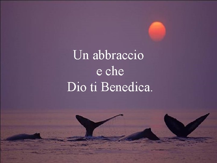 Un abbraccio e che Dio ti Benedica. 