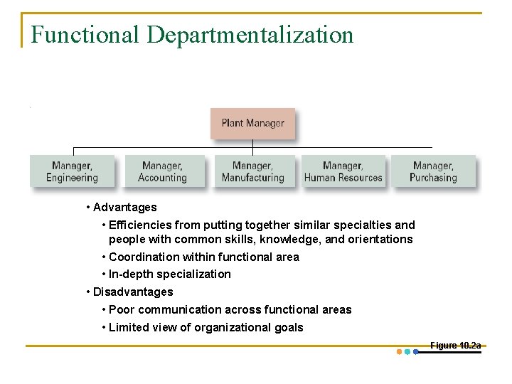 Functional Departmentalization • Advantages • Efficiencies from putting together similar specialties and people with