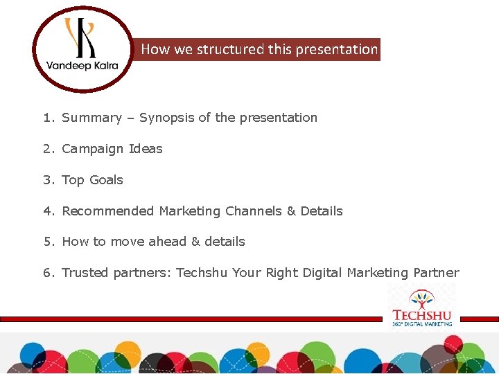 How we structured this presentation 1. Summary – Synopsis of the presentation 2. Campaign