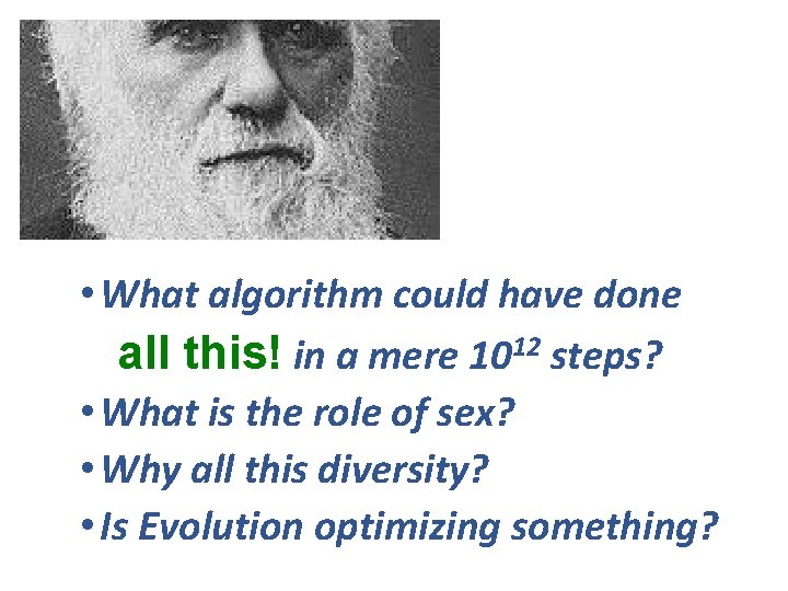 Recall the questions still unanswered • What algorithm could have done all this! in