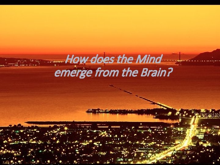 How does the Mind emerge from the Brain? 