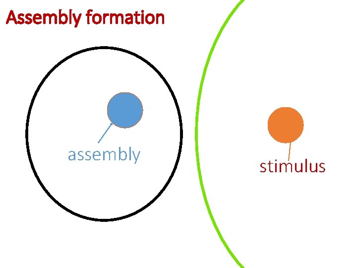 Assembly formation assembly stimulus 