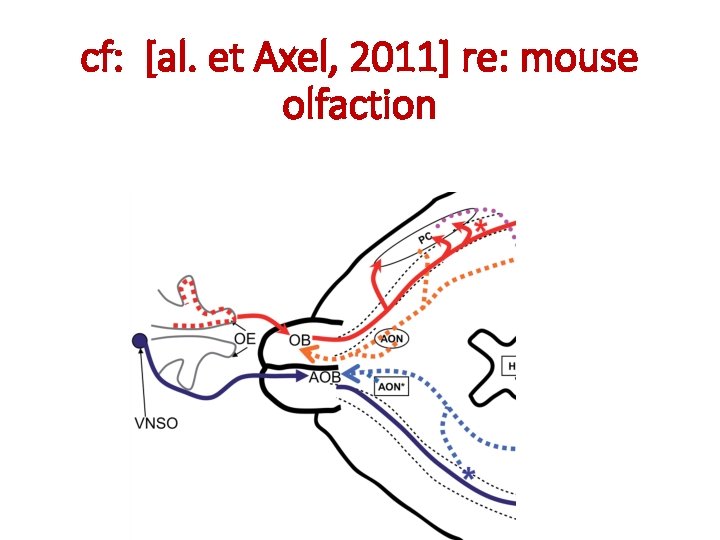 cf: [al. et Axel, 2011] re: mouse olfaction 2 