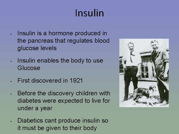 Insulin • • • Insulin is a hormone produced in the pancreas that regulates