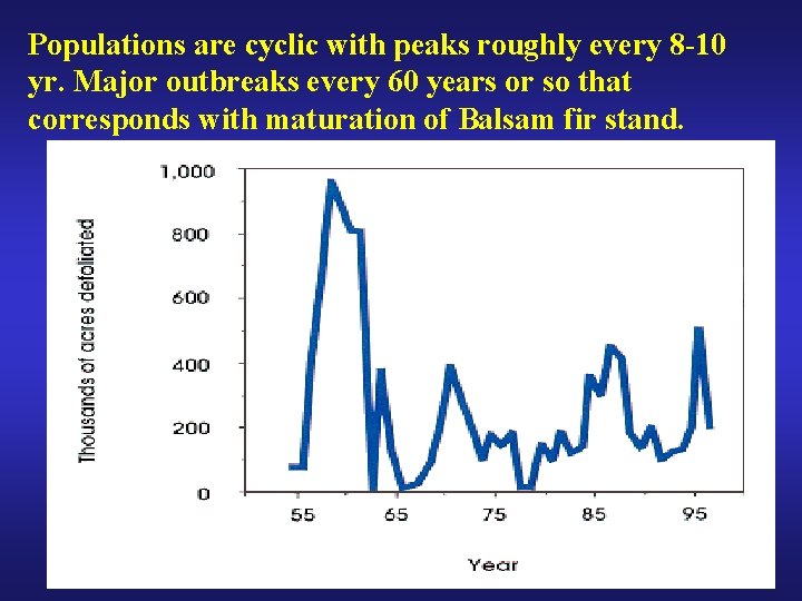 Populations are cyclic with peaks roughly every 8 -10 yr. Major outbreaks every 60