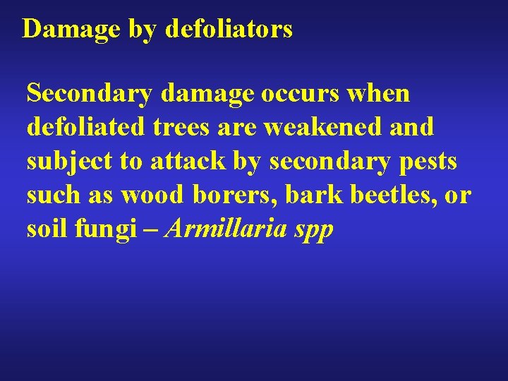 Damage by defoliators Secondary damage occurs when defoliated trees are weakened and subject to
