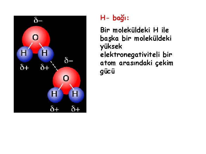 H- bağı: Bir moleküldeki H ile başka bir moleküldeki yüksek elektronegativiteli bir atom arasındaki