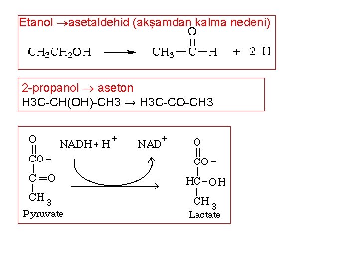 Etanol asetaldehid (akşamdan kalma nedeni) 2 -propanol aseton H 3 C-CH(OH)-CH 3 → H