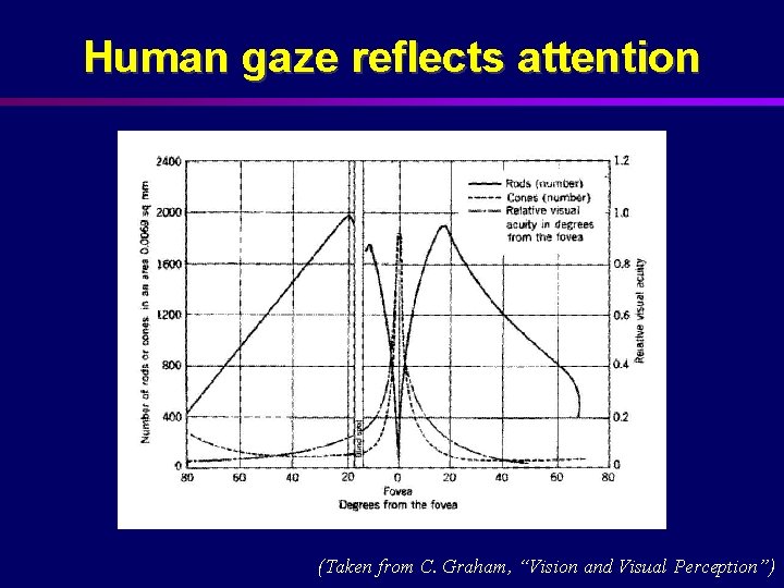 Human gaze reflects attention (Taken from C. Graham, “Vision and Visual Perception”) 