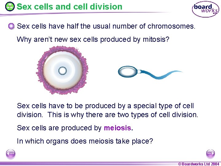 Sex cells and cell division Sex cells have half the usual number of chromosomes.