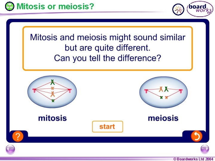 Mitosis or meiosis? © Boardworks Ltd 2004 