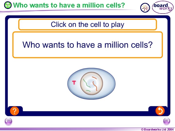 Who wants to have a million cells? FLASH 2 – Mitosis drag & drop