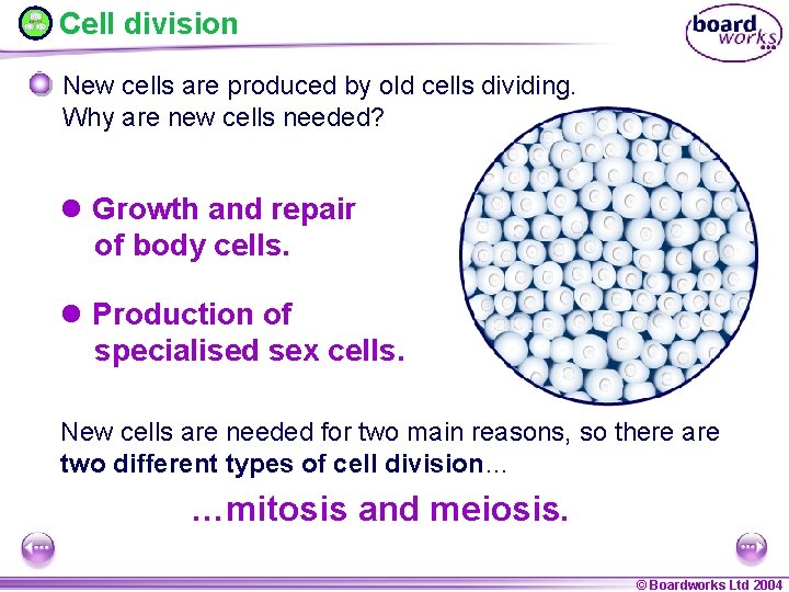 Cell division New cells are produced by old cells dividing. Why are new cells