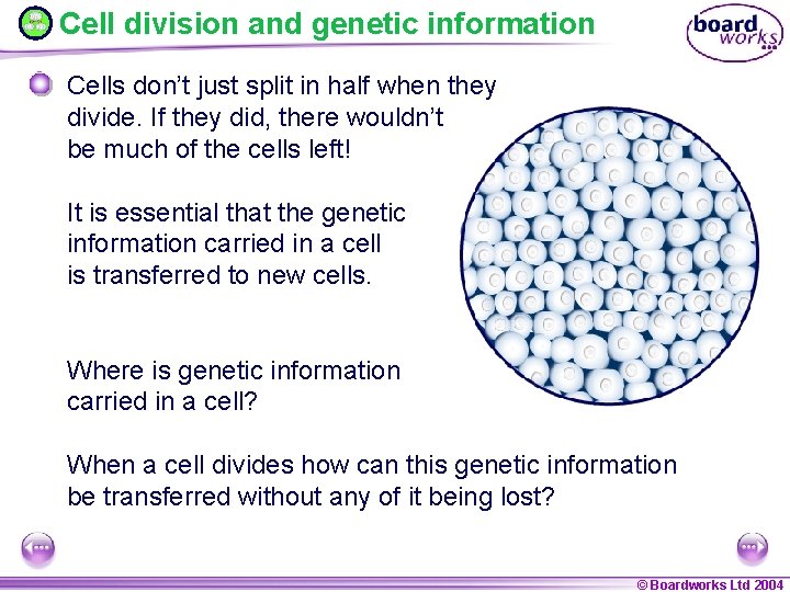 Cell division and genetic information Cells don’t just split in half when they divide.