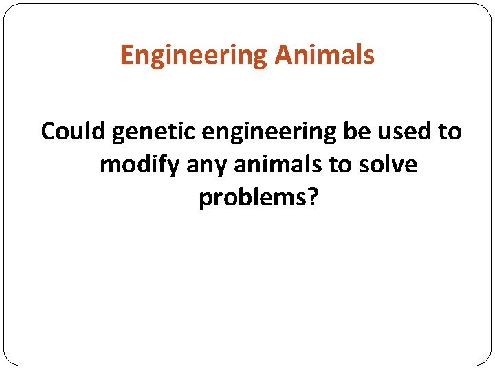 Engineering Animals Could genetic engineering be used to modify animals to solve problems? 