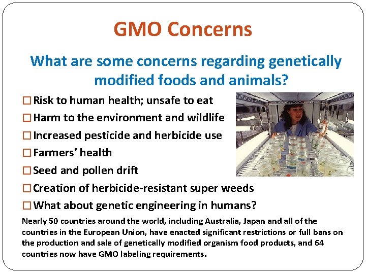 GMO Concerns What are some concerns regarding genetically modified foods and animals? � Risk