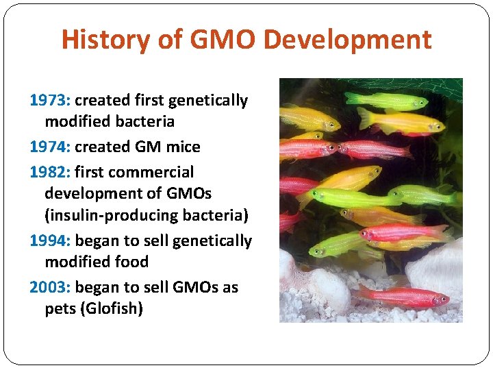 History of GMO Development 1973: created first genetically modified bacteria 1974: created GM mice