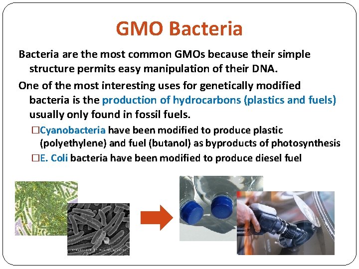 GMO Bacteria are the most common GMOs because their simple structure permits easy manipulation