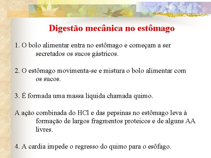 Digestão mecânica no estômago 1. O bolo alimentar entra no estômago e começam a