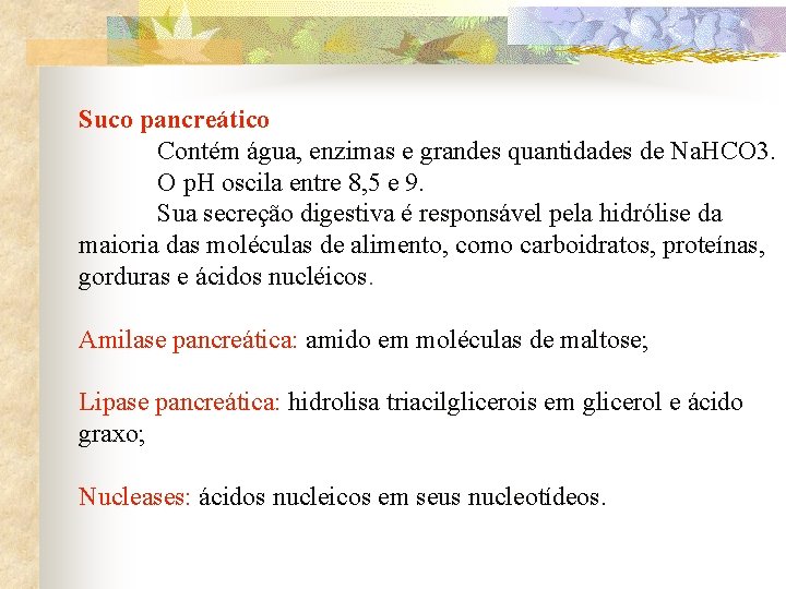 Suco pancreático Contém água, enzimas e grandes quantidades de Na. HCO 3. O p.