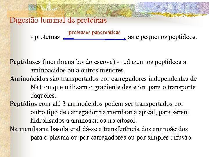 Digestão luminal de proteínas - proteínas proteases pancreáticas aa e pequenos peptídeos. Peptidases (membrana