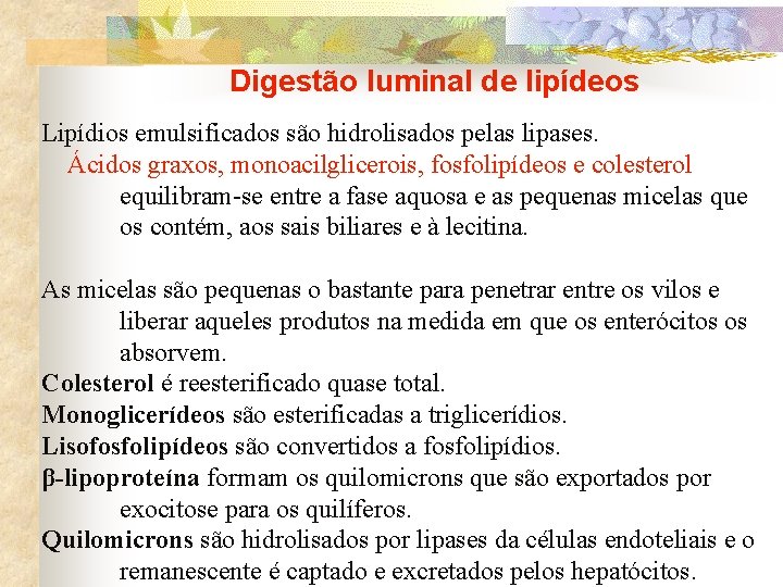 Digestão luminal de lipídeos Lipídios emulsificados são hidrolisados pelas lipases. Ácidos graxos, monoacilglicerois, fosfolipídeos