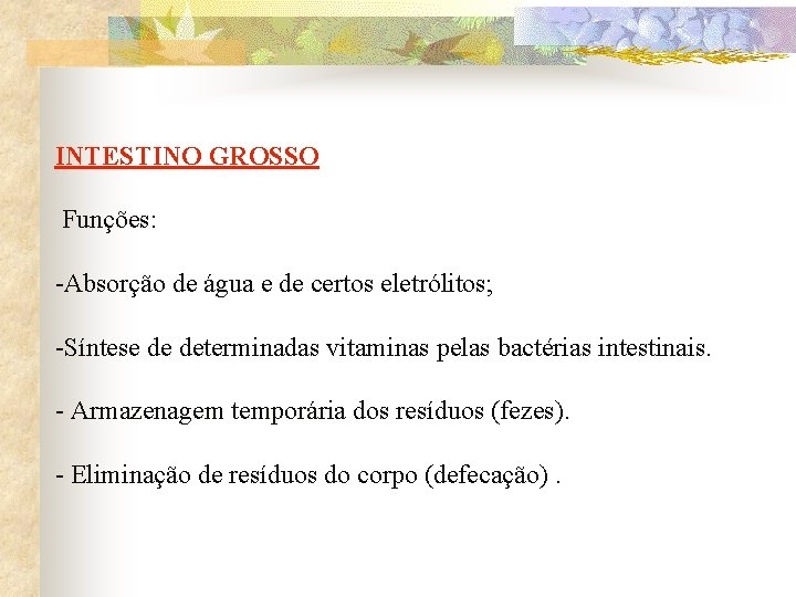 INTESTINO GROSSO Funções: -Absorção de água e de certos eletrólitos; -Síntese de determinadas vitaminas