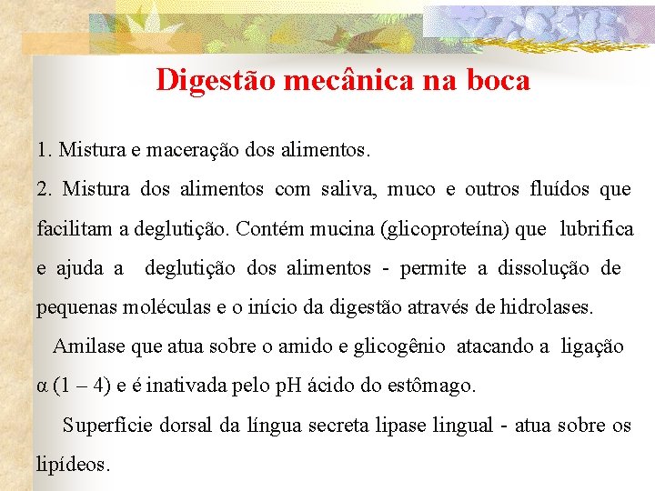 Digestão mecânica na boca 1. Mistura e maceração dos alimentos. 2. Mistura dos alimentos