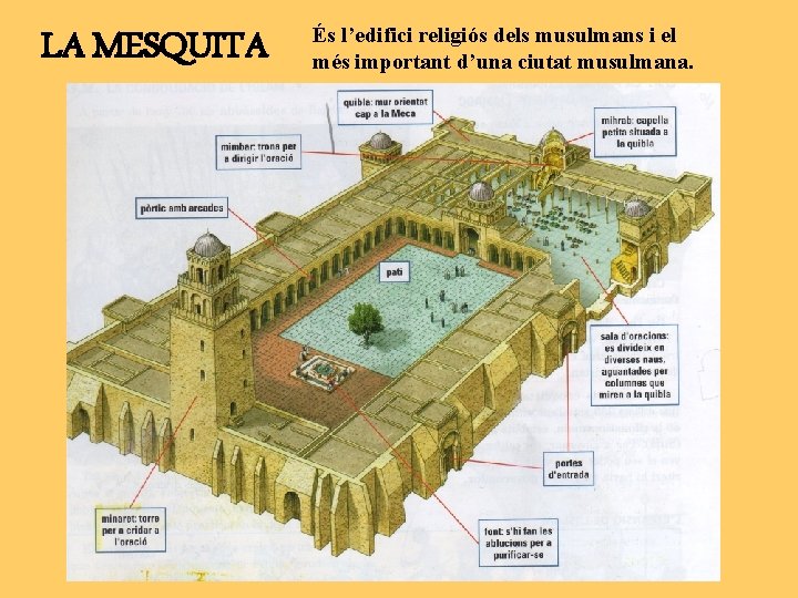 LA MESQUITA És l’edifici religiós dels musulmans i el més important d’una ciutat musulmana.