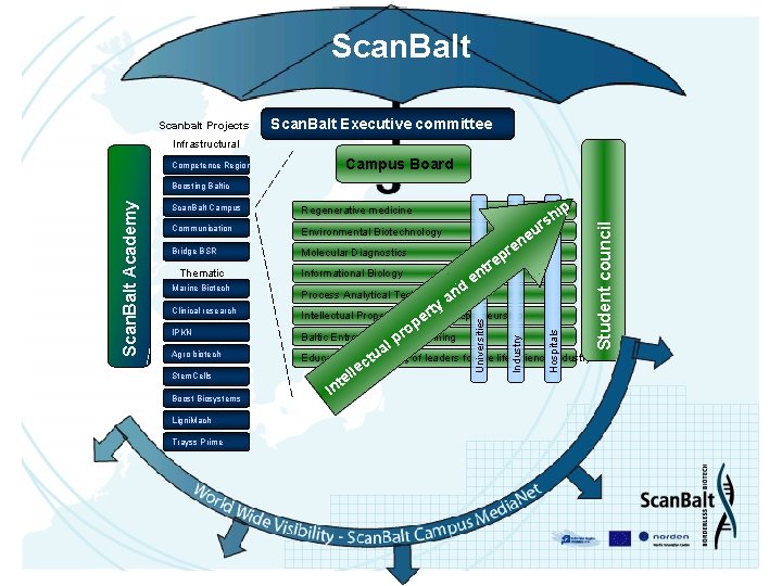 Scan. Balt Scanbalt Projects Scan. Balt Executive committee Infrastructural Competence Region Campus Board Regenerative