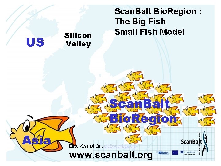 US Silicon Valley Scan. Balt Bio. Region : The Big Fish Small Fish Model