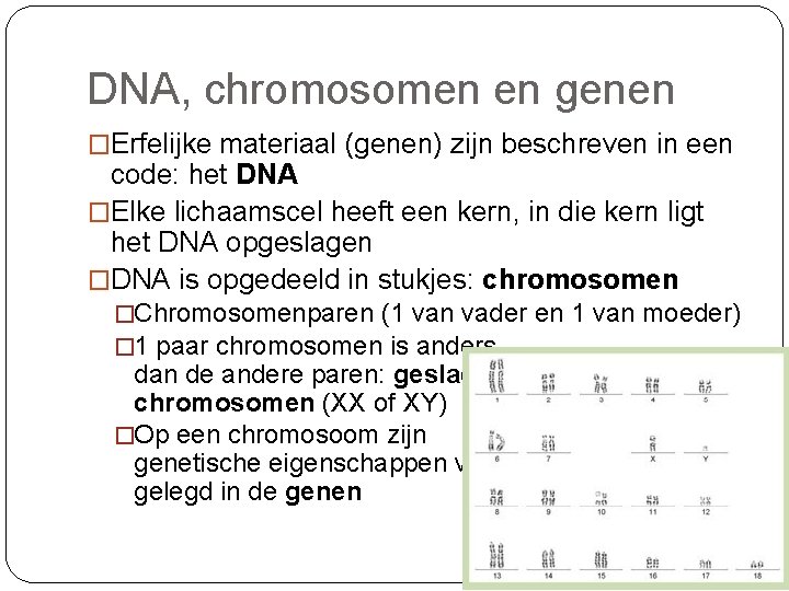 DNA, chromosomen en genen �Erfelijke materiaal (genen) zijn beschreven in een code: het DNA