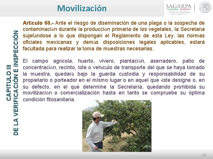 CAPITULO III DE LA VERIFICACIÓN E INSPECCIÓN Movilización Artículo 60. - Ante el riesgo