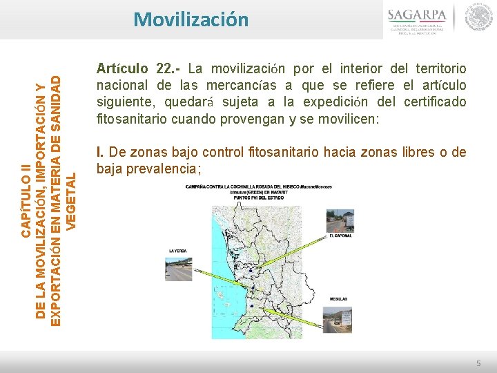 CAPÍTULO II DE LA MOVILIZACIÓN, IMPORTACIÓN Y EXPORTACIÓN EN MATERIA DE SANIDAD VEGETAL Movilización